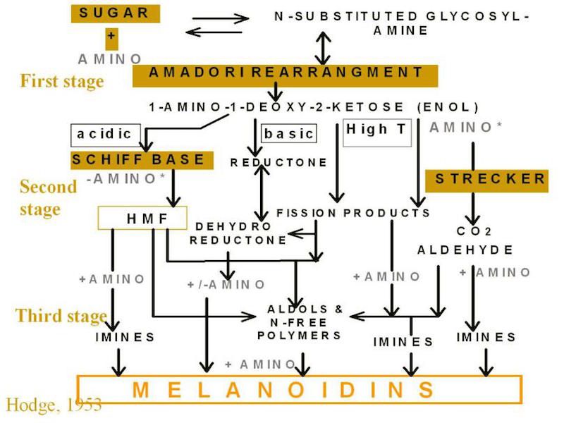 Chemistry of coffee oxidation