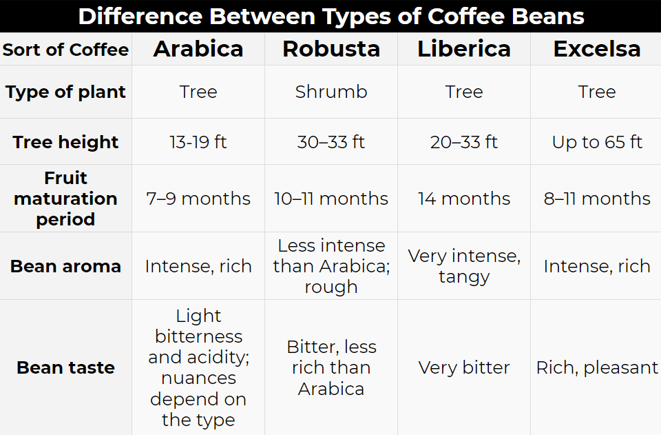 Difference Between Types of Coffee Beans