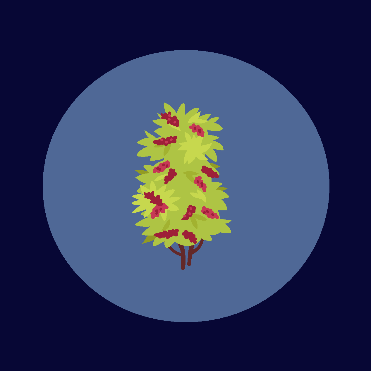 What Is Shade-Grown Coffee